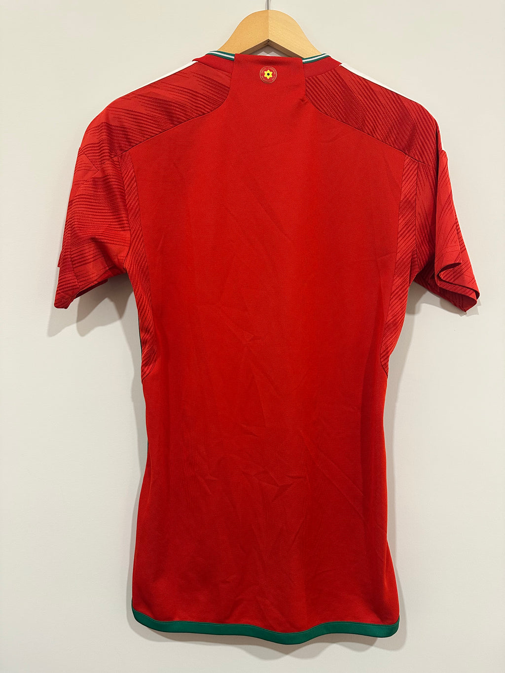 Wales 2022 Home Soccer Jersey (S)