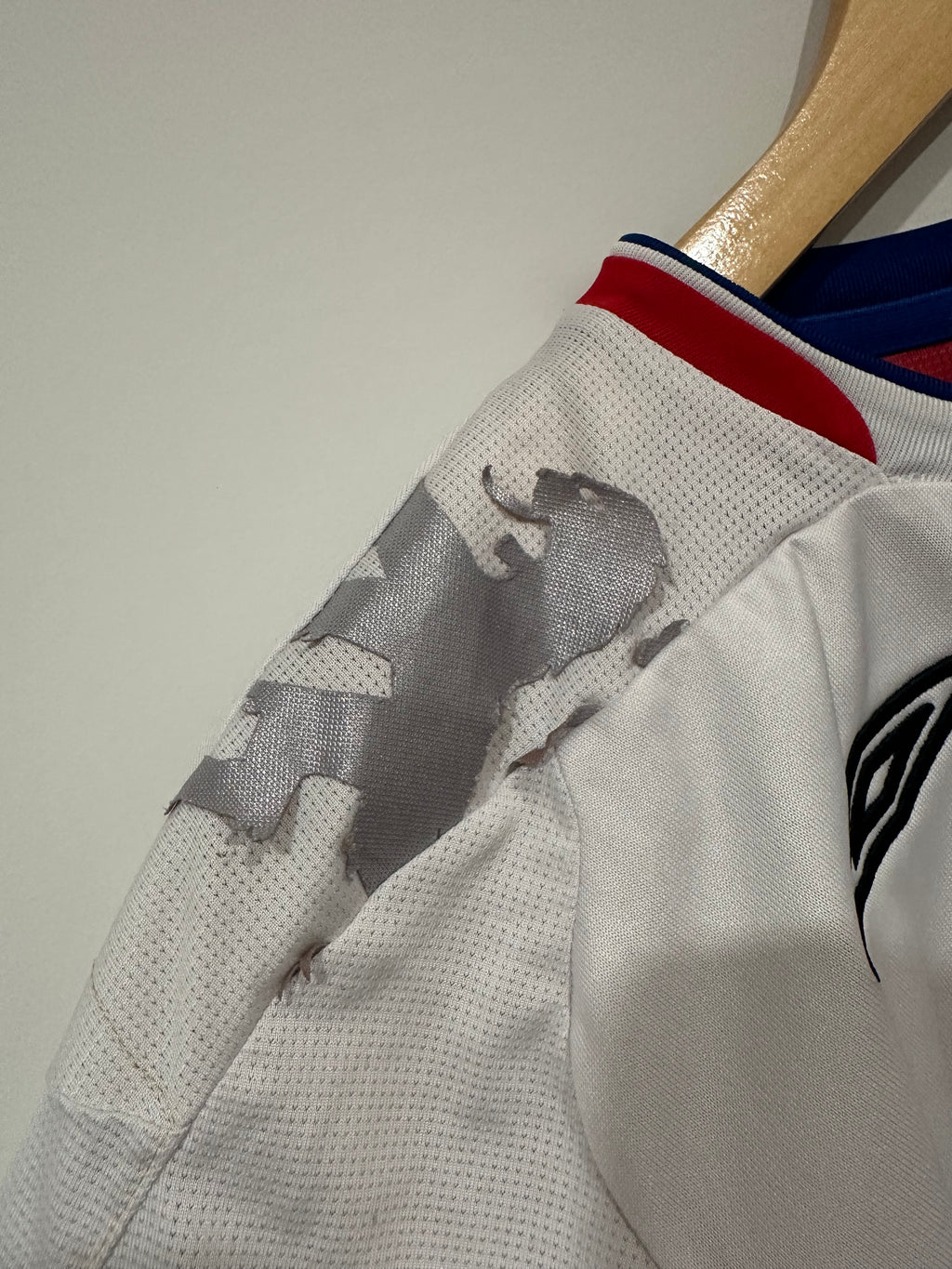 Olympique Lyon 2006-07 Home Soccer Jersey (L)