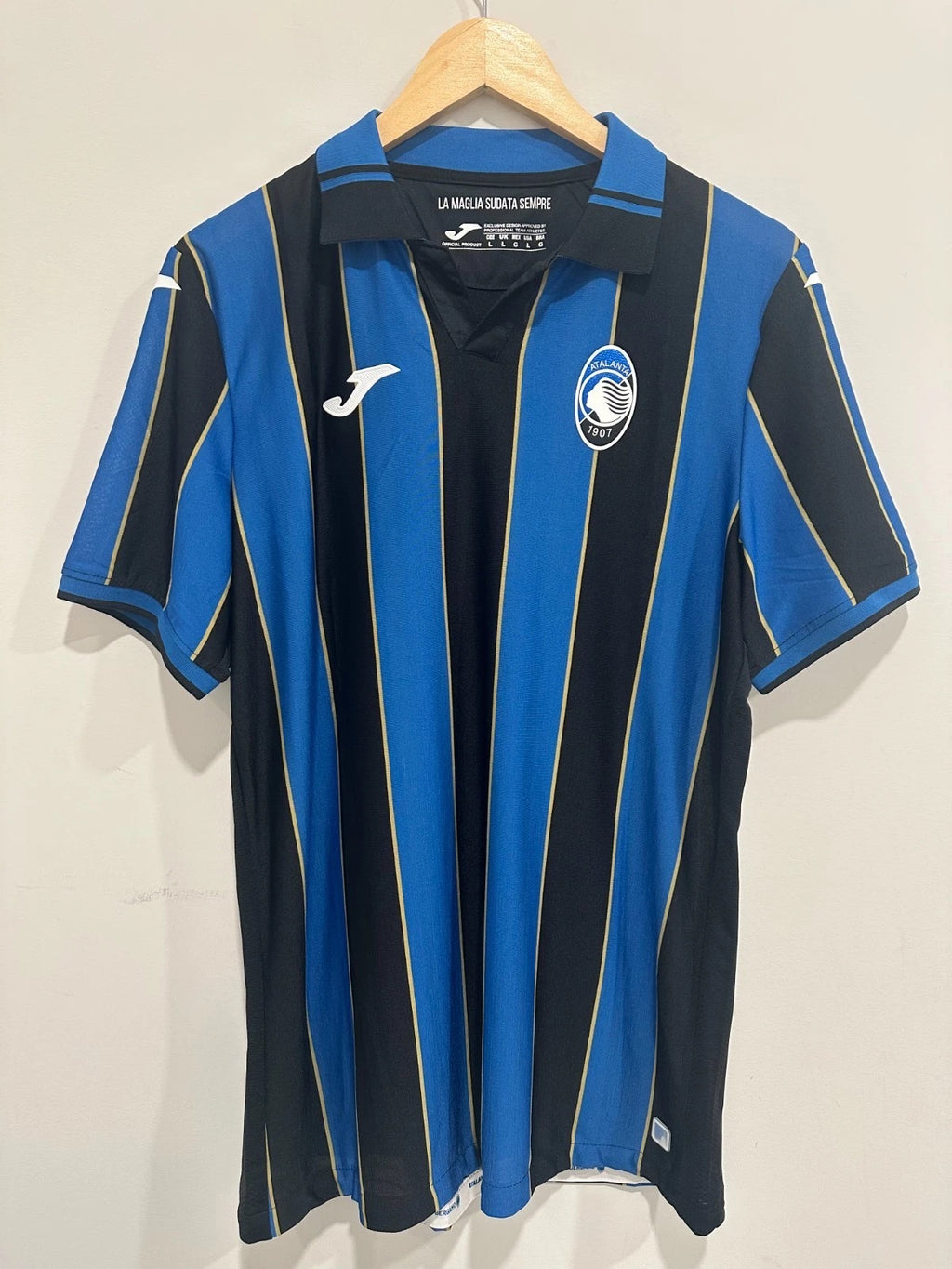 Atalanta 2019-20 Home Soccer Jersey (L)